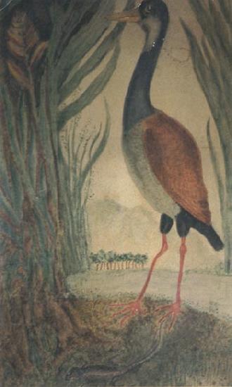 Henri Rousseau Wader